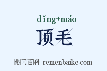 顶毛是什么意思的图片